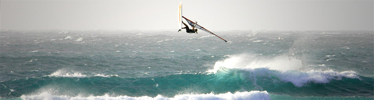 Uli - high backloop